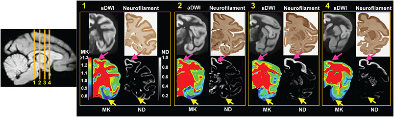 Figure 5: