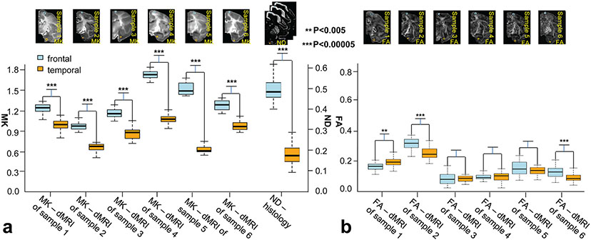 Figure 6: