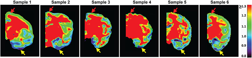 Figure 4: