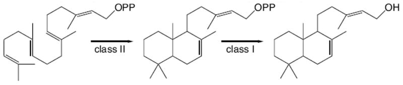 Scheme 2