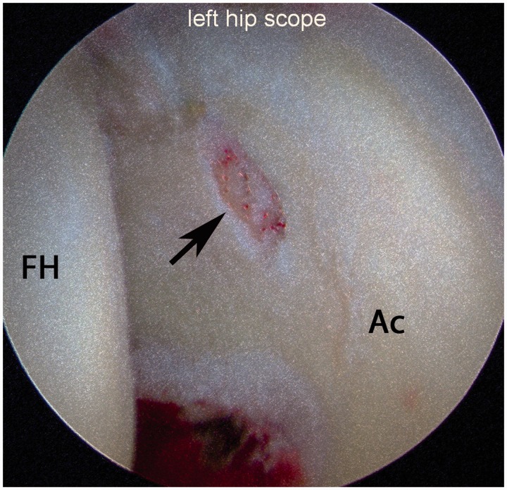 Fig. 5.