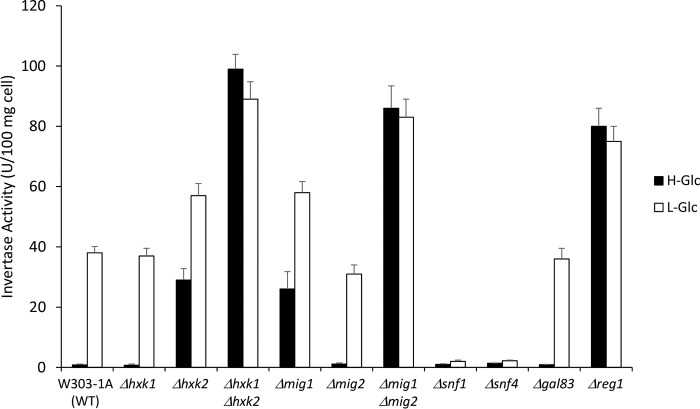 FIGURE 2.