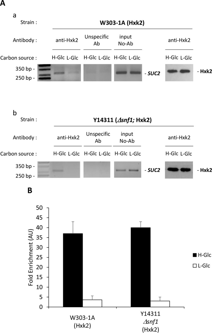 FIGURE 10.