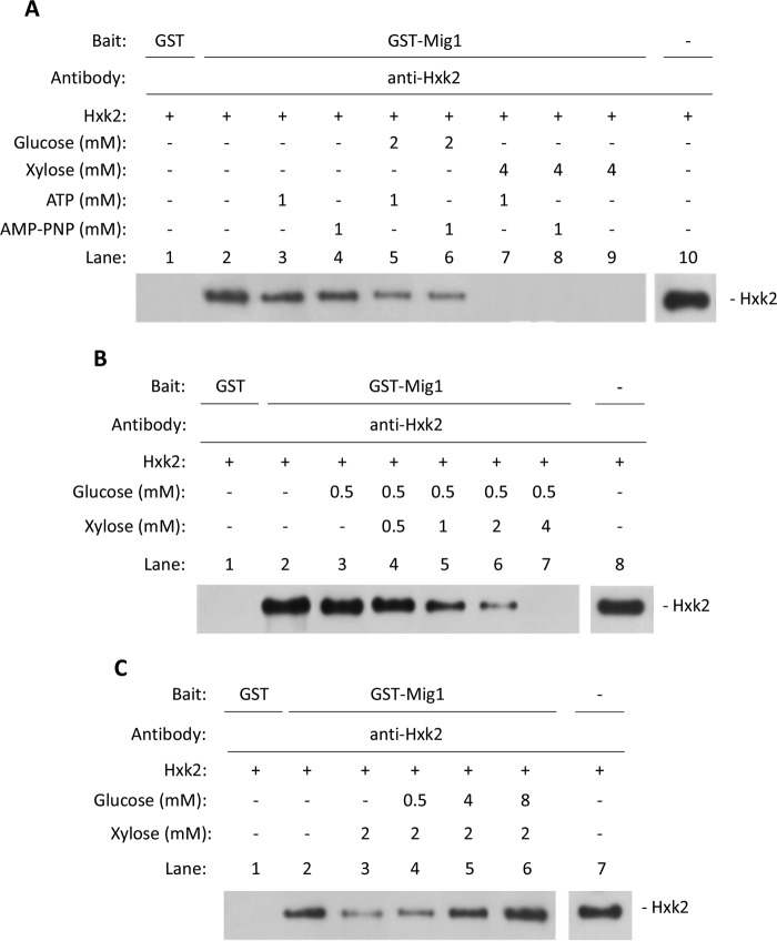 FIGURE 11.