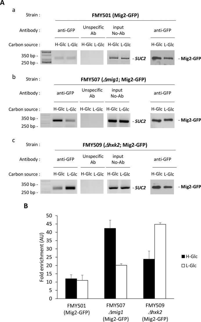 FIGURE 4.