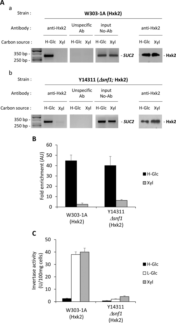 FIGURE 12.