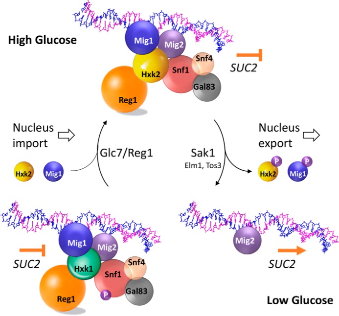 FIGURE 13.