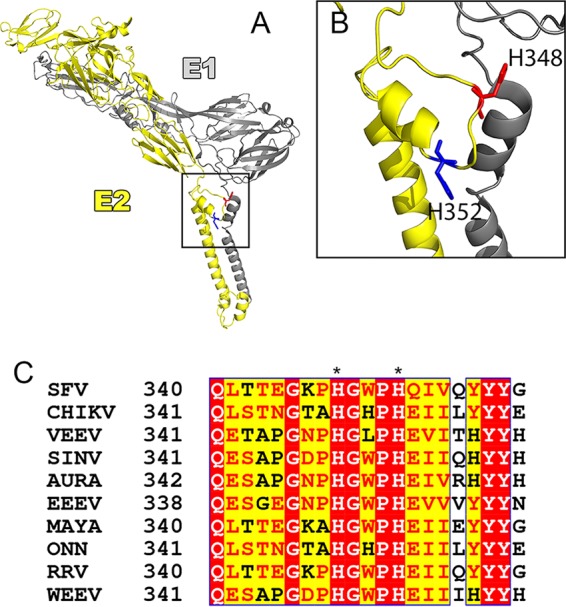 FIG 1 