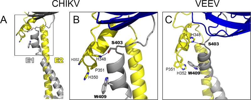 FIG 8 