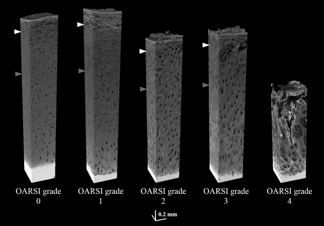 Fig. 2