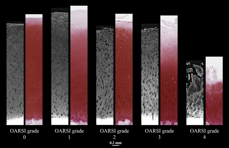 Fig. 3