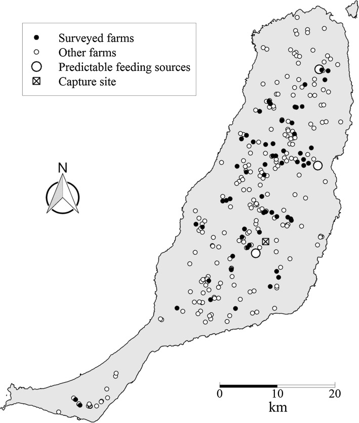 Fig. 1