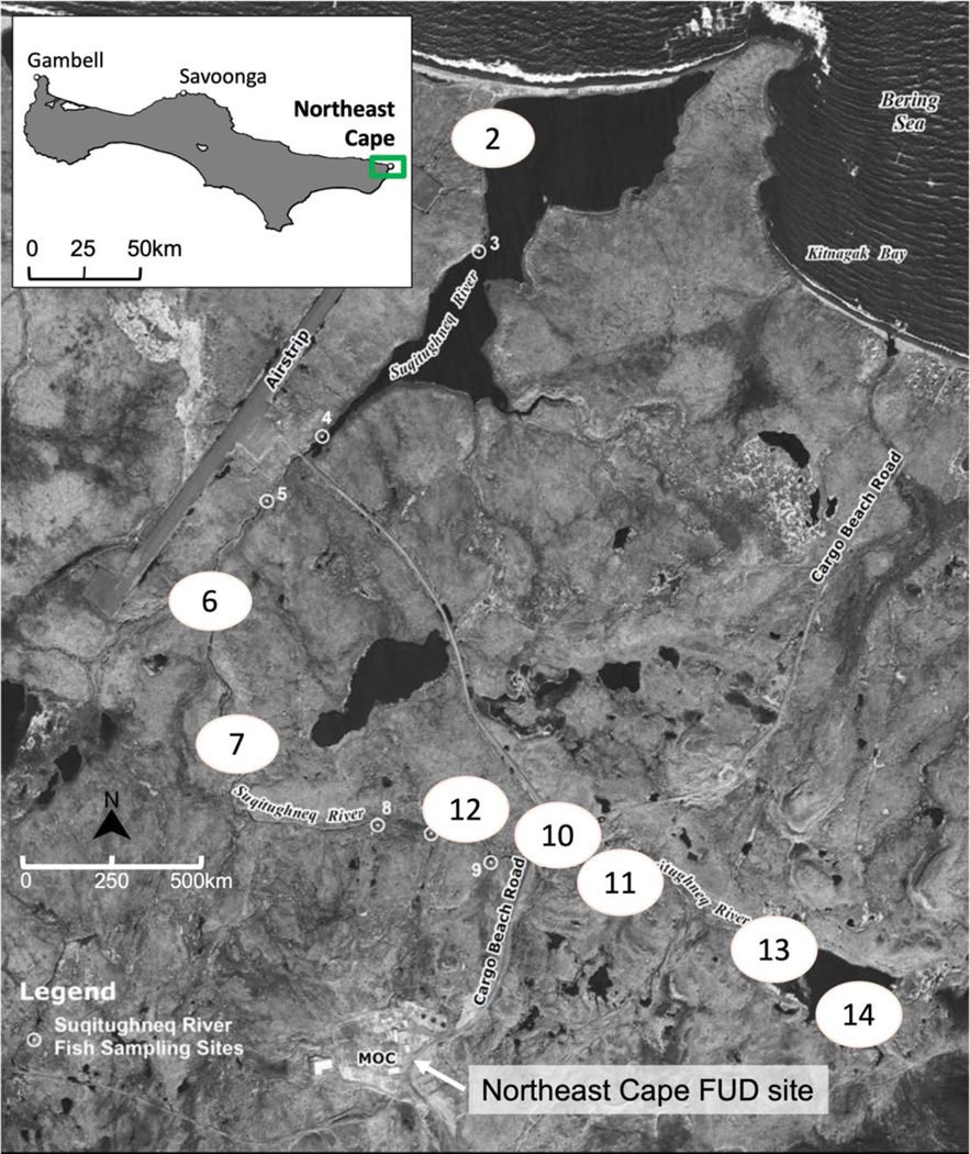 Figure 2.