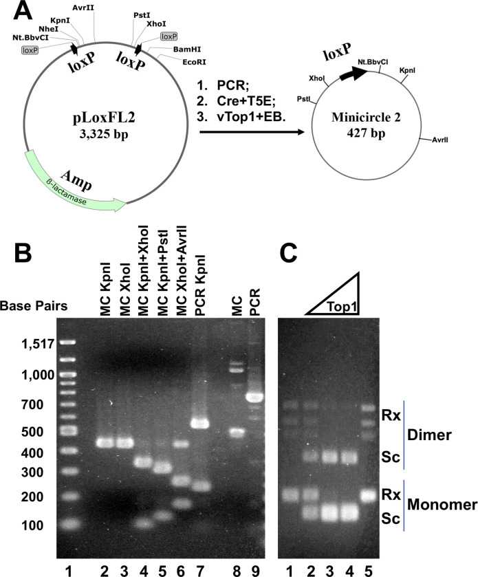 Figure 3.