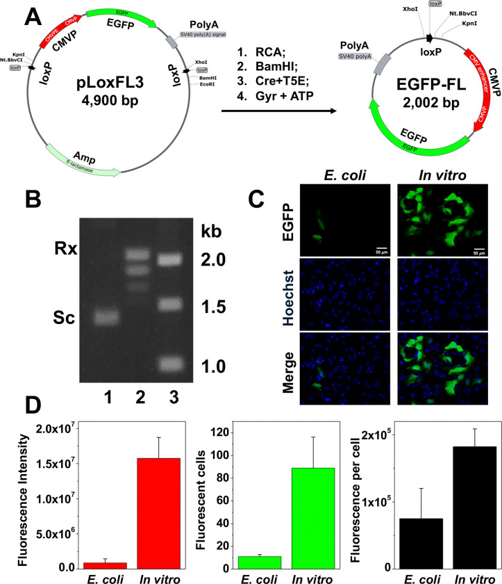 Figure 6.