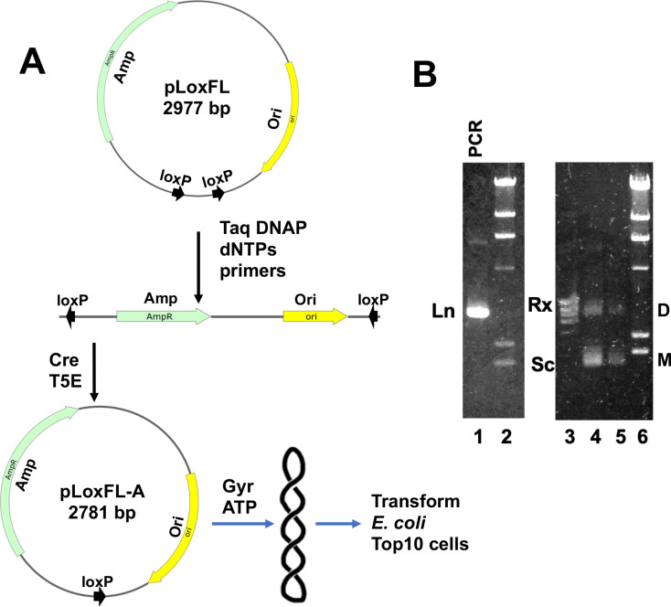 Figure 2.