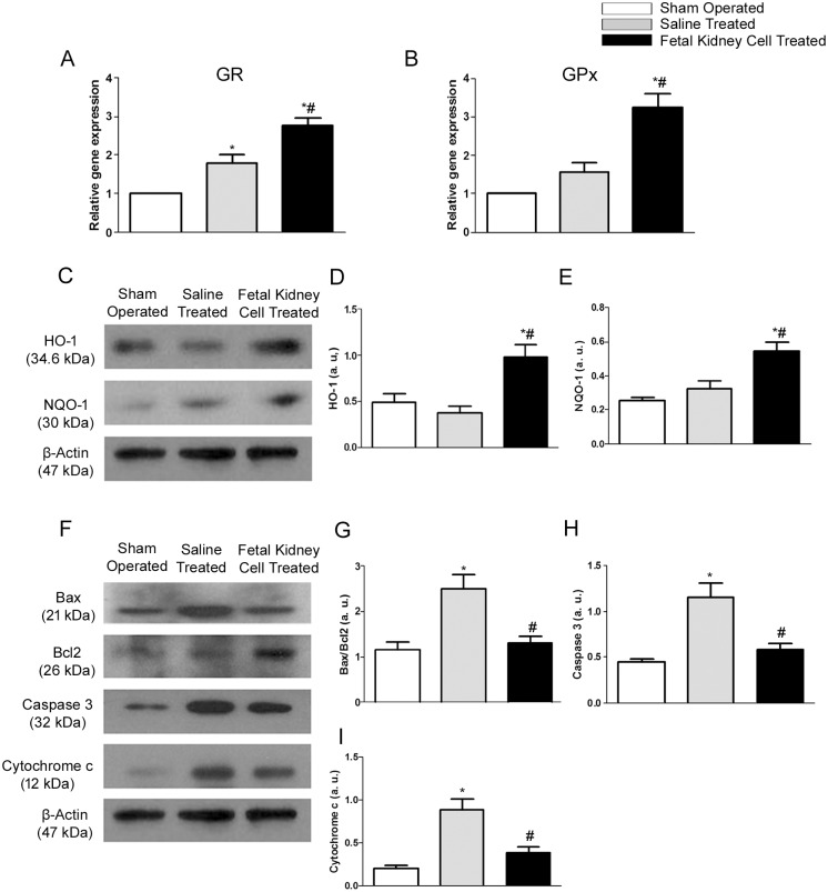 Fig 8