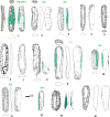 Fig 28