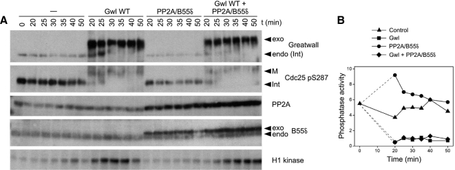 Figure 9.