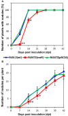 Figure 7
