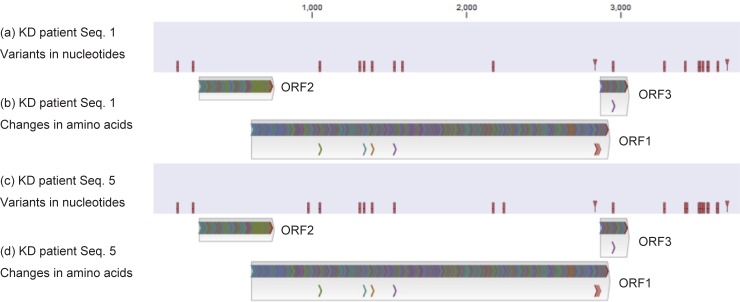 Fig 3