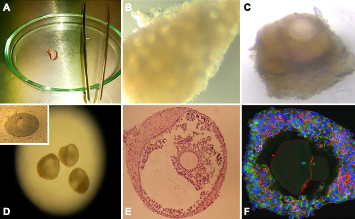 FIGURE 12.