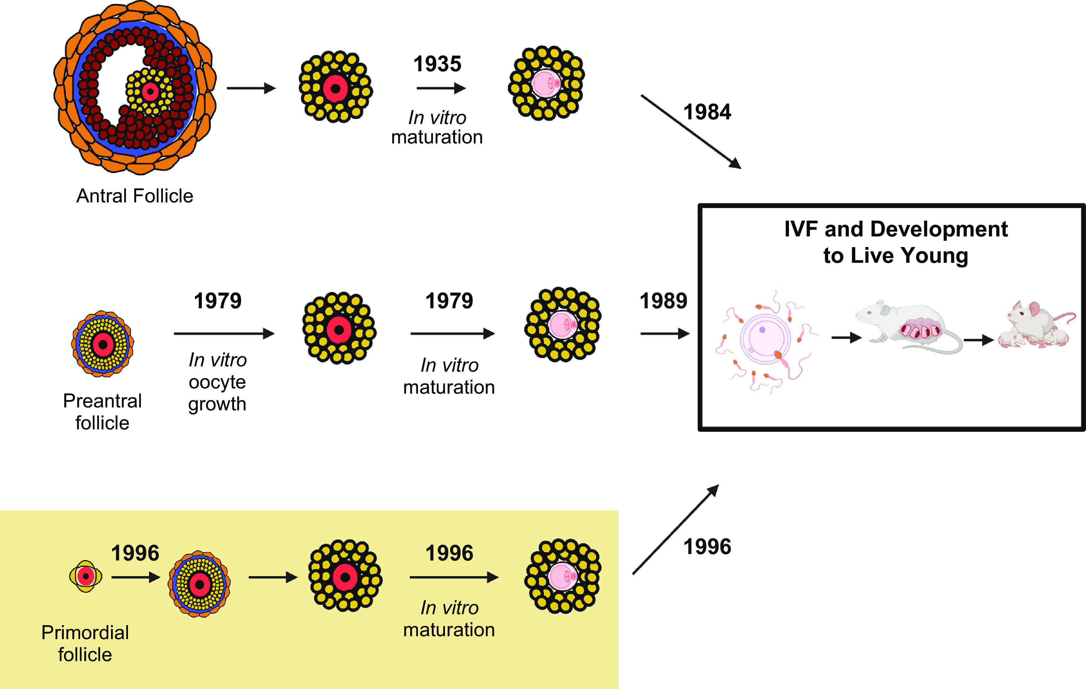 FIGURE 11.