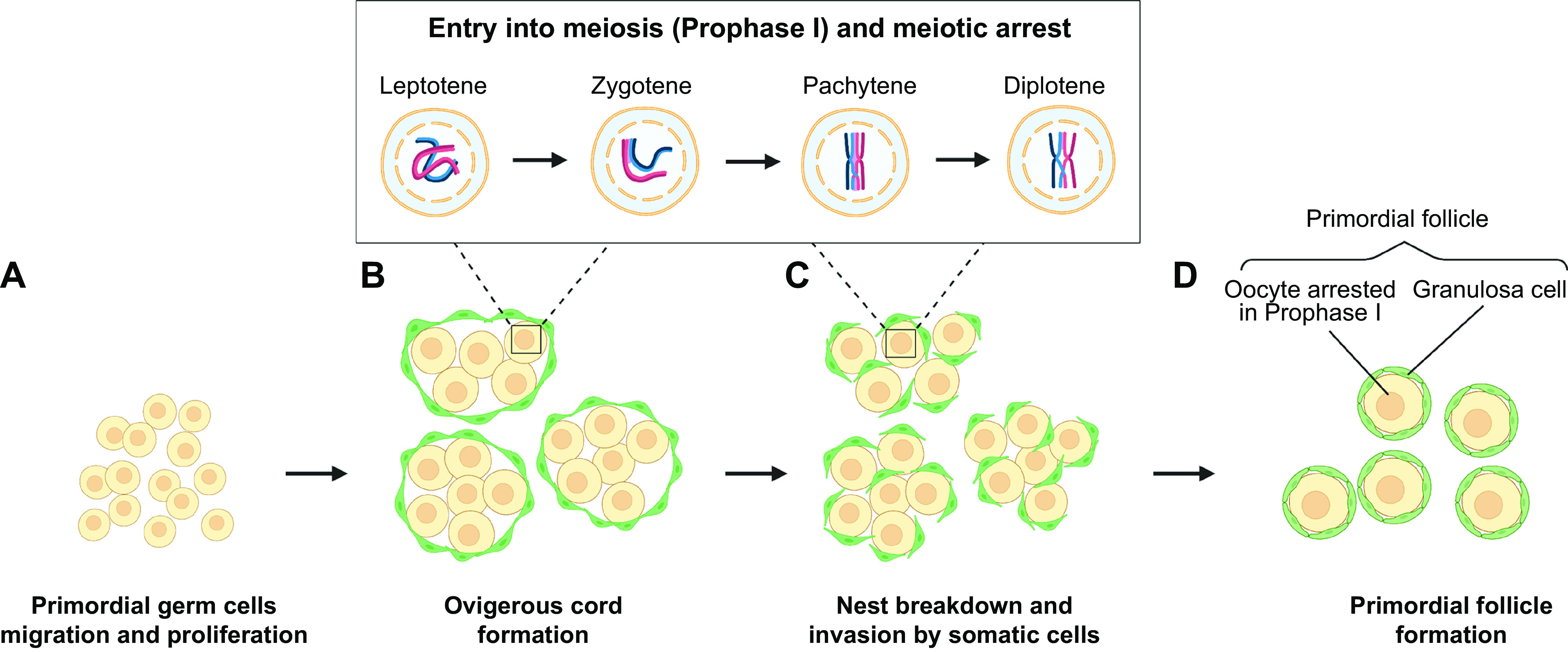 FIGURE 1.