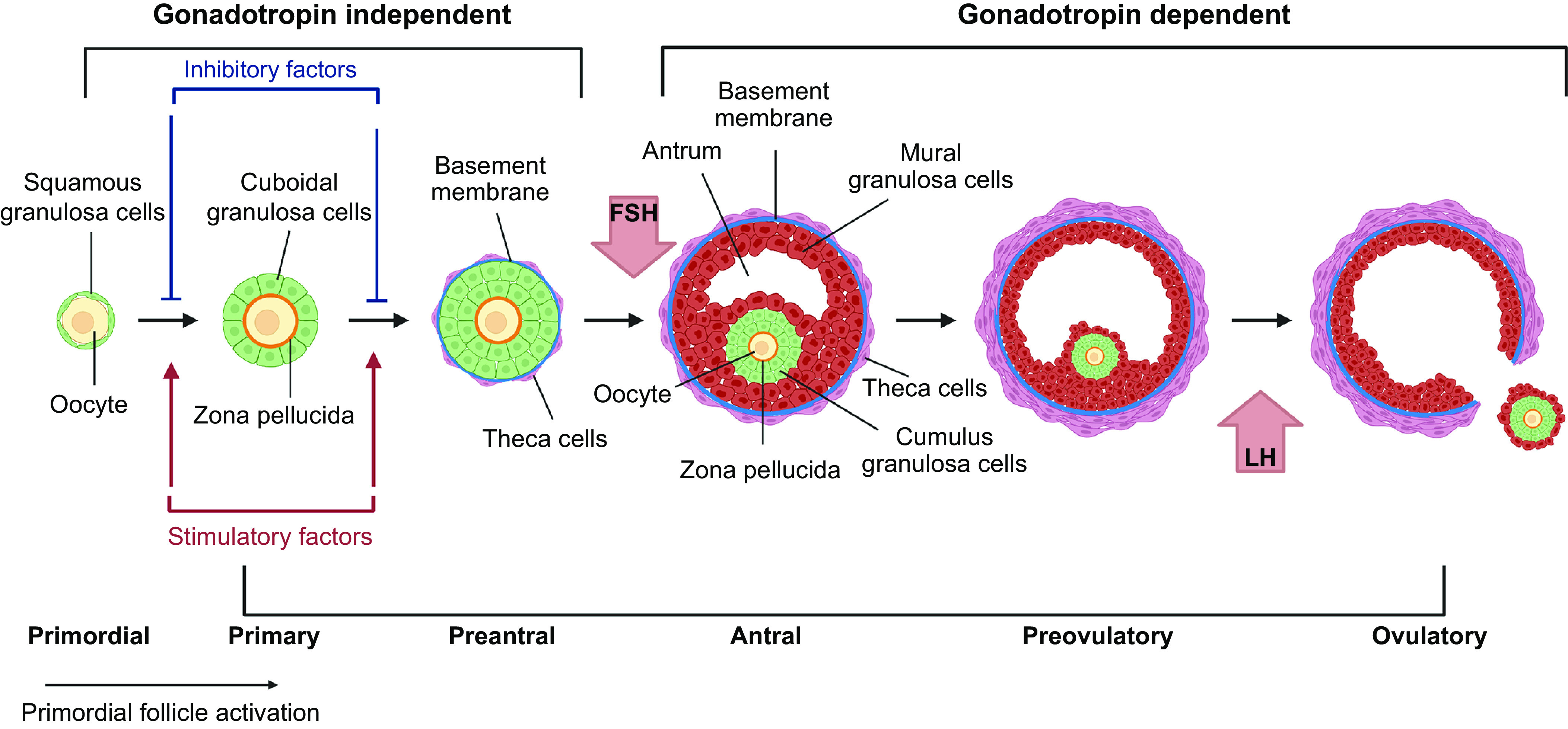 FIGURE 5.