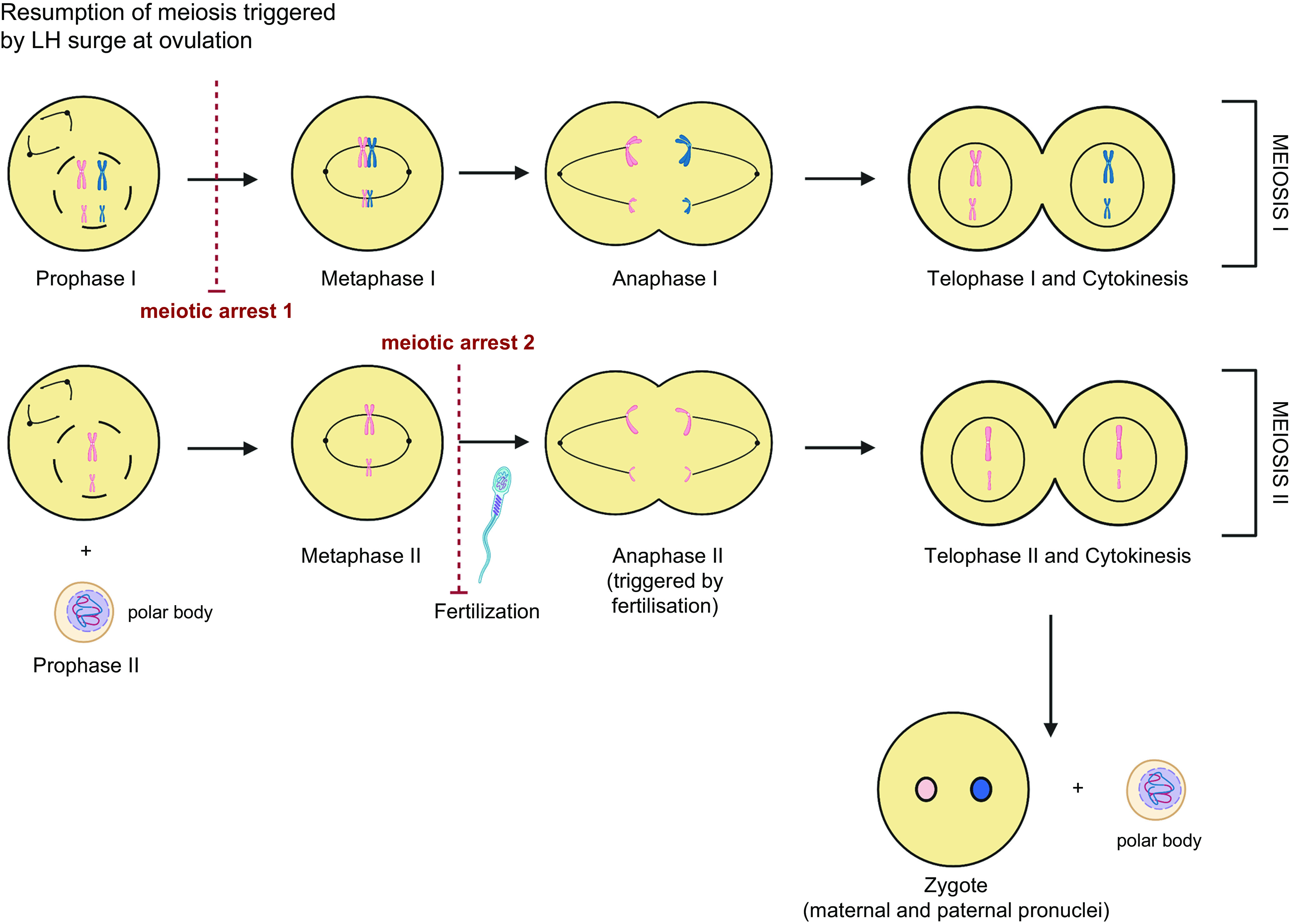 FIGURE 9.