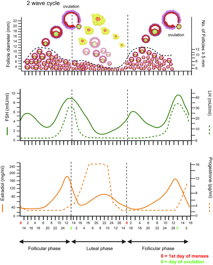 FIGURE 7.