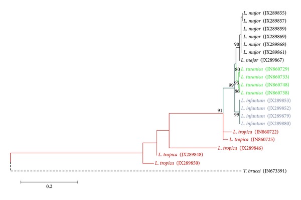 Figure 5