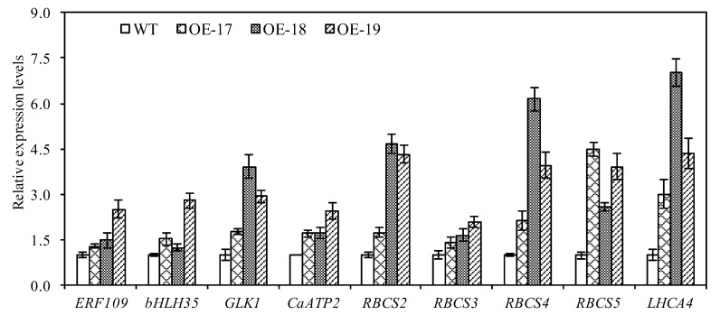 Figure 10