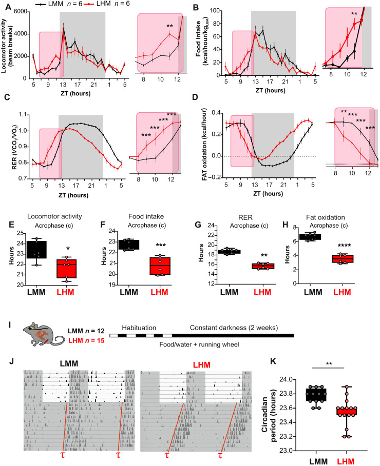 Fig. 4.