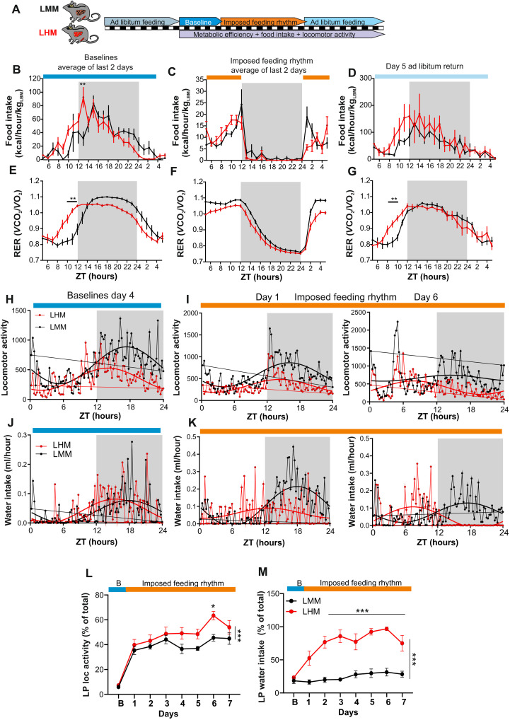 Fig. 6.