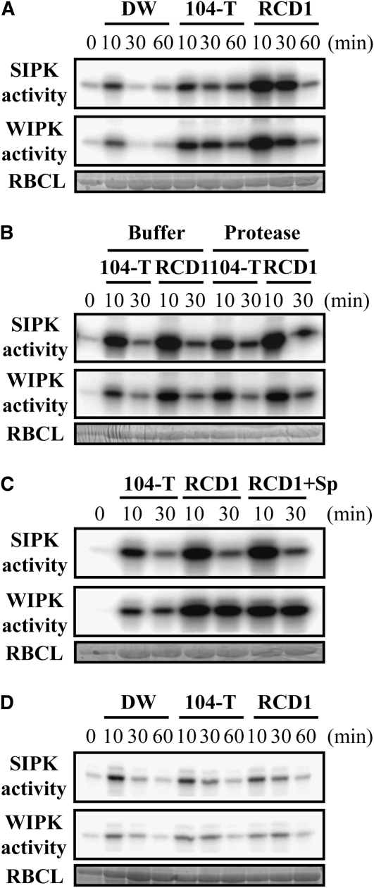 Figure 9.