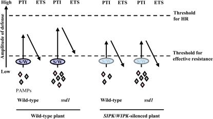 Figure 10.