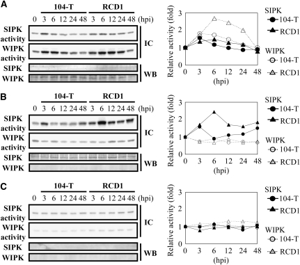 Figure 7.