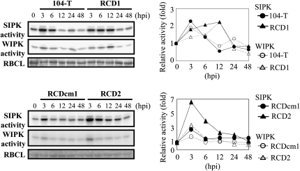 Figure 6.