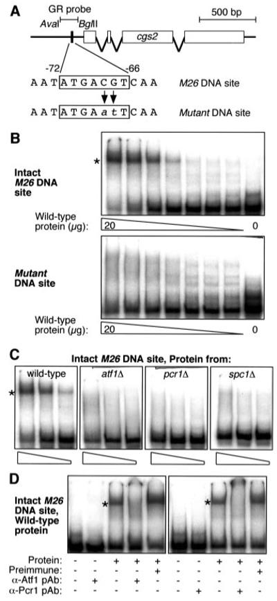 Fig.2