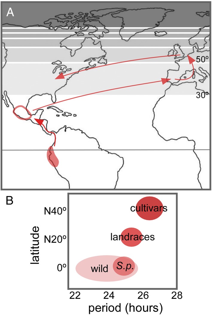 Fig. 1.