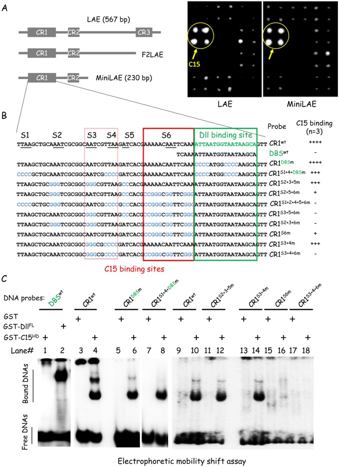 Fig 4