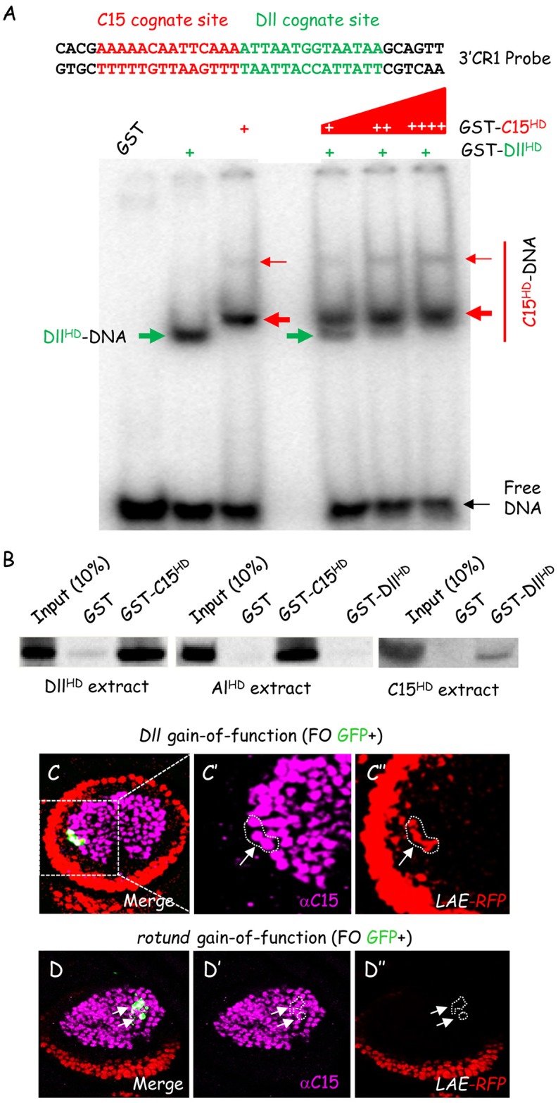 Fig 6