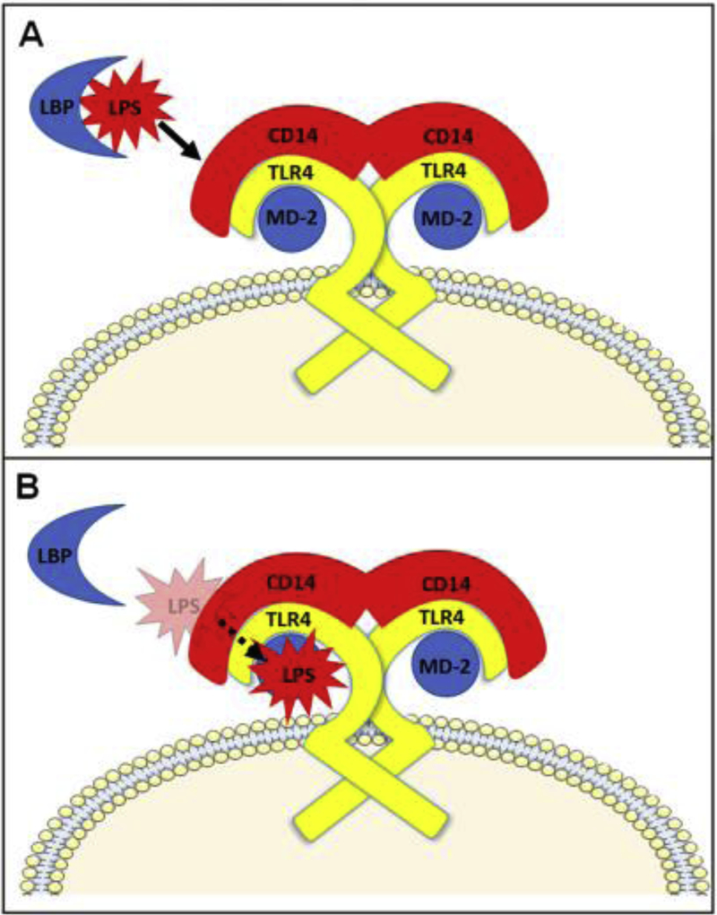 Fig 2.