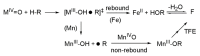 Scheme 3