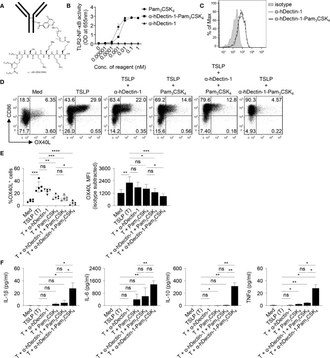 Figure 6