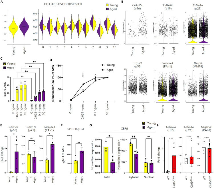 Figure 4