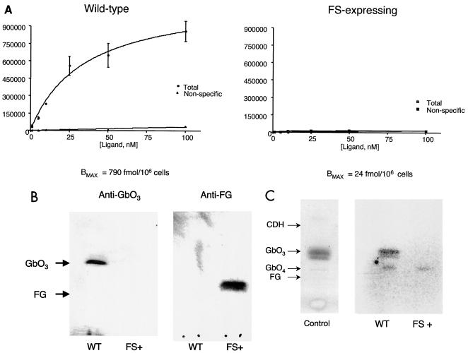 FIG. 5.