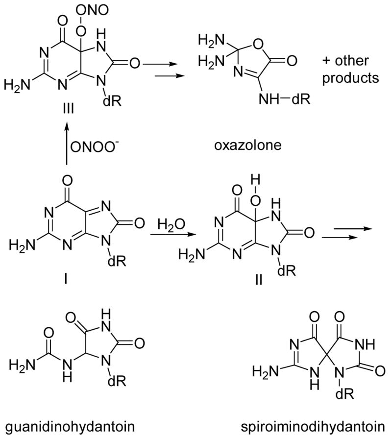 Scheme 2