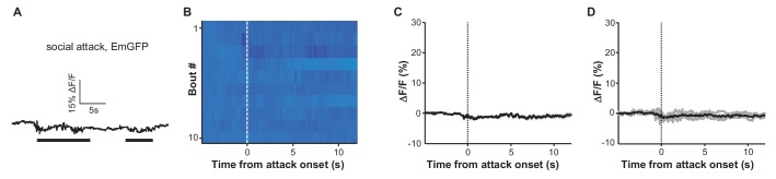 Figure 2—figure supplement 1.